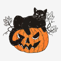 Black Cat On Pumpkin Gift For Cat Lover Halloween Graphic T-shirt | Artistshot