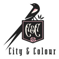 City And Colour, Wonderful Indie Rock   Folk Inspired Singer Songwrite Sticker | Artistshot