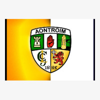 Antrim Gaa Mask Ladies Fitted T-shirt | Artistshot