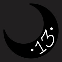 Thirteenth Moon T-shirt | Artistshot