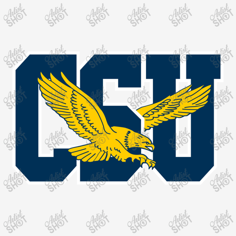 The Coppin State Eagles Camper Cup | Artistshot