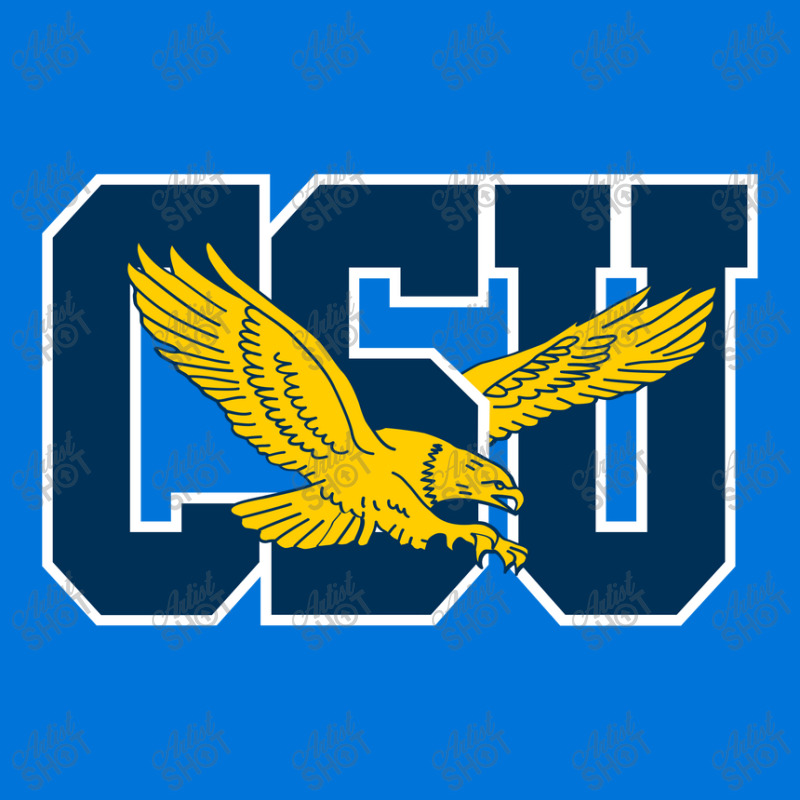 The Coppin State Eagles Portrait Canvas Print | Artistshot