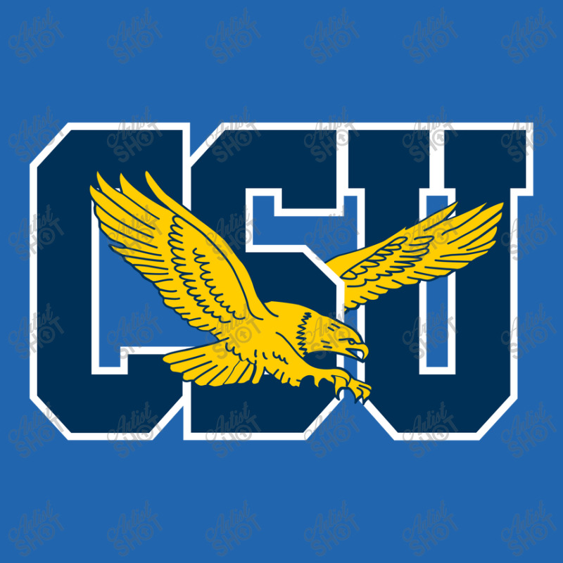 The Coppin State Eagles Pocket T-shirt | Artistshot