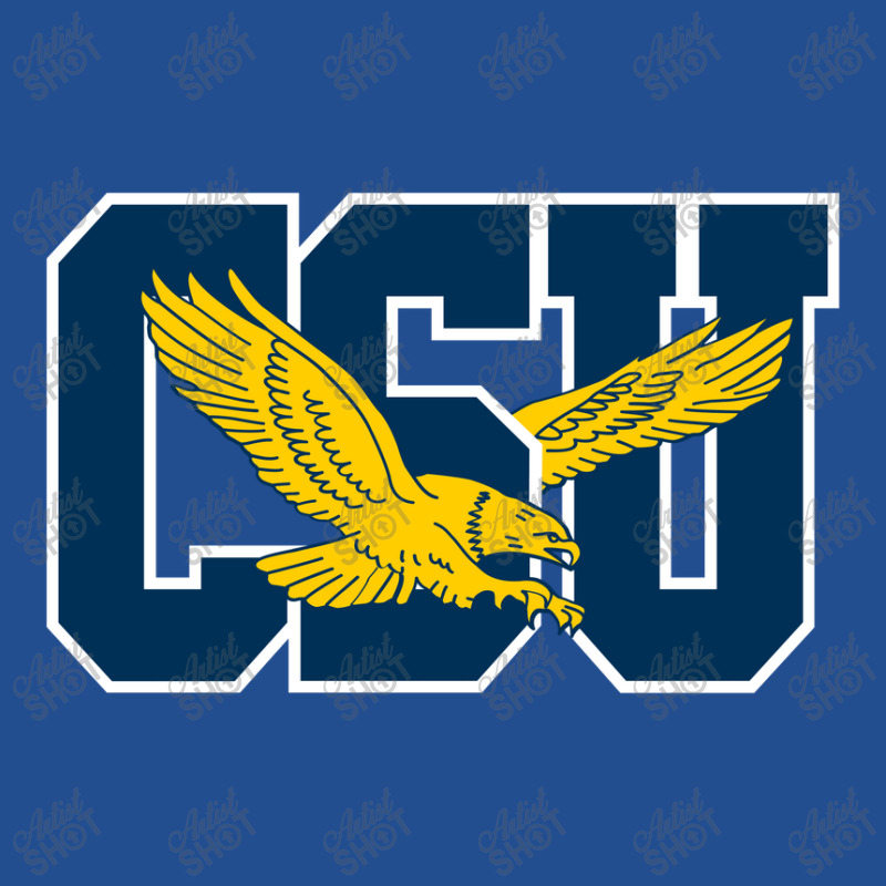 The Coppin State Eagles Crewneck Sweatshirt | Artistshot