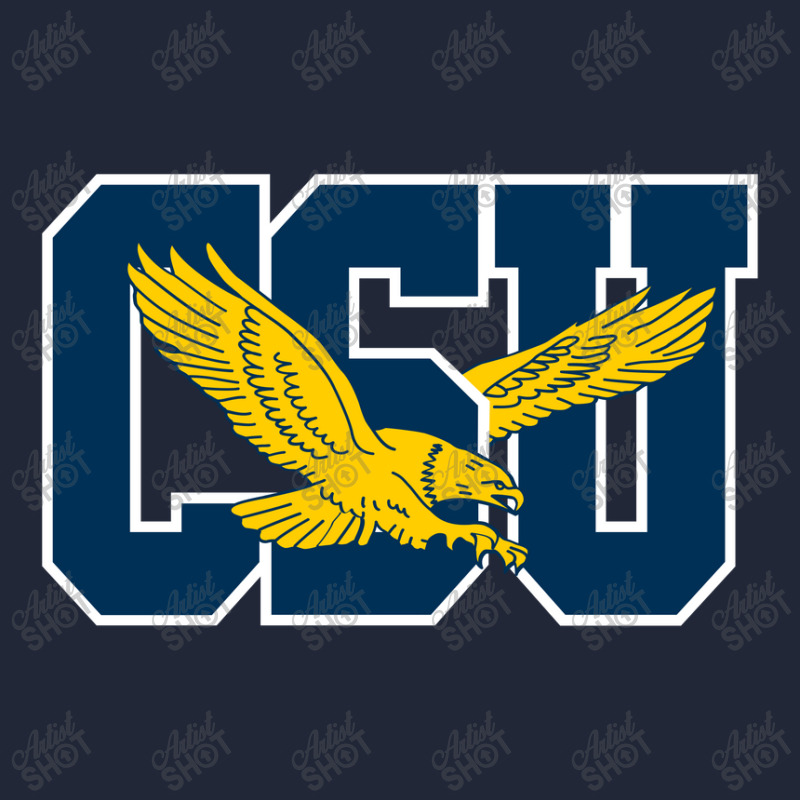 The Coppin State Eagles Waist Apron | Artistshot