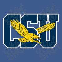 The Coppin State Eagles Champion Hoodie | Artistshot