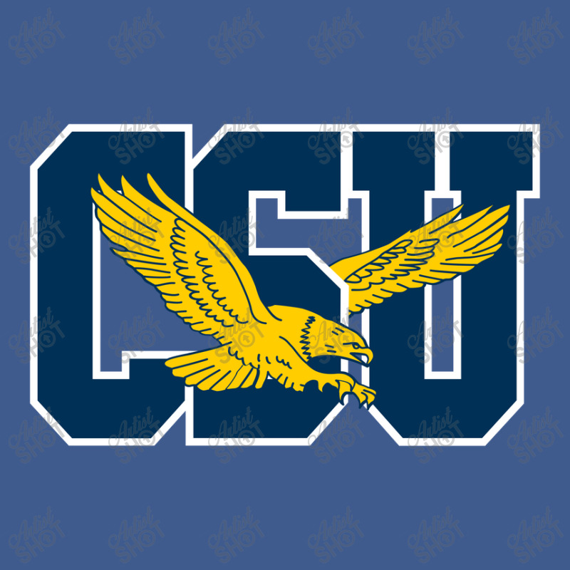 The Coppin State Eagles Champion Hoodie | Artistshot