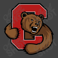 The Cornell Big Red Vintage T-shirt | Artistshot