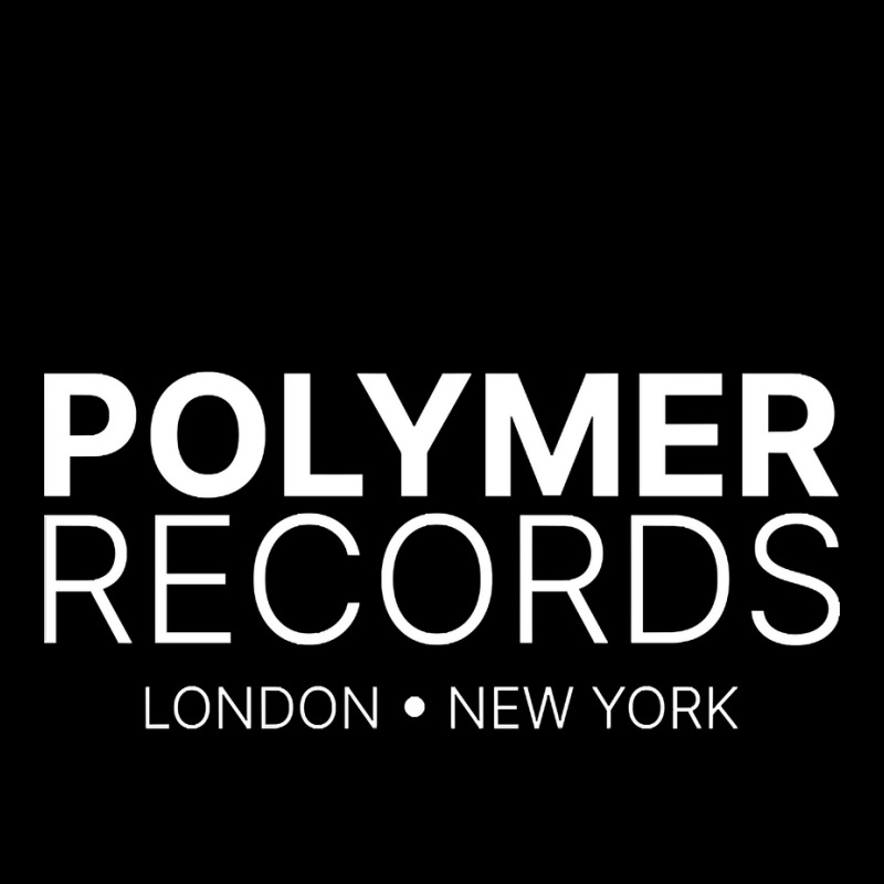 Limited Edition Polymer Records Fleece Short by fenderbendable | Artistshot