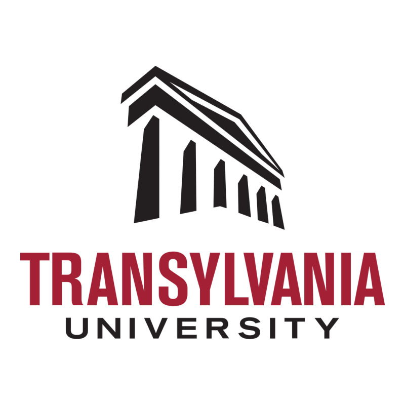 Transylvania University Maternity Scoop Neck T-shirt by Ellard grey | Artistshot