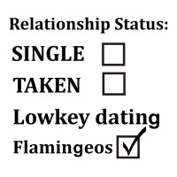 Relationship Status Lowkey Dating Flamingeos Women's Pajamas Set | Artistshot