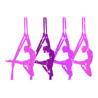 Aerial Gymnastic Aerialist Silks Dancer T Shirt Crop Top | Artistshot