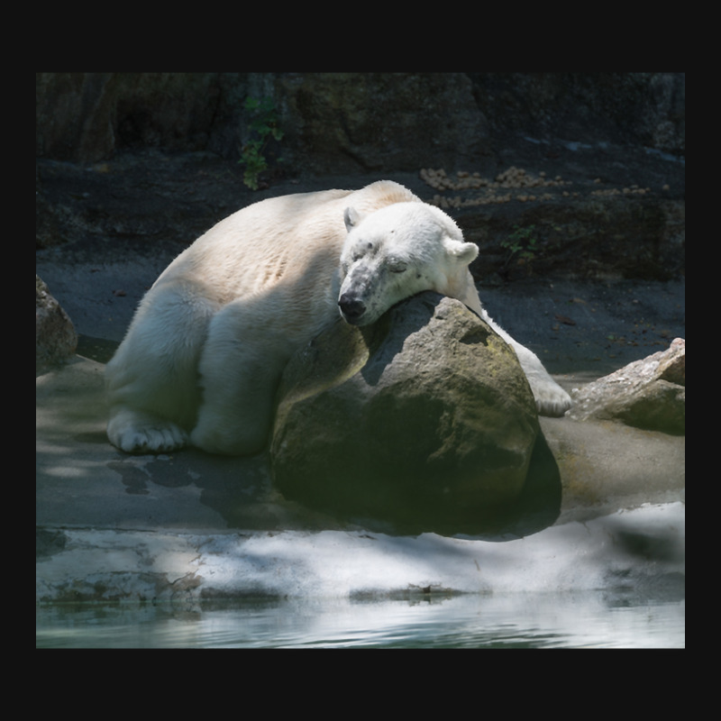 Tundra Taking A Little Nap After A Hard Day. Graphic T-shirt | Artistshot