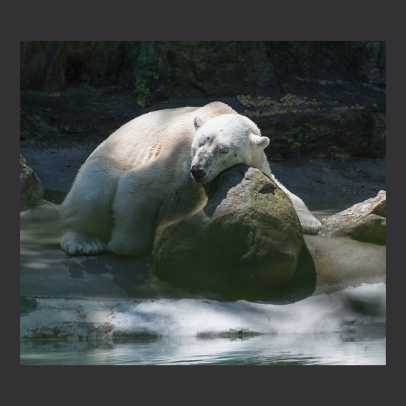 Tundra Taking A Little Nap After A Hard Day. Vintage Short | Artistshot