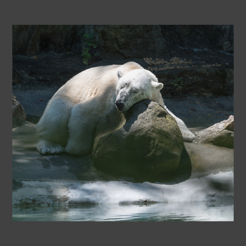 Tundra Taking A Little Nap After A Hard Day. Vintage T-shirt | Artistshot