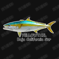 Yellowtail Baja California Sur Graphic Youth T-shirt | Artistshot