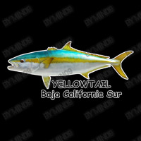 Yellowtail Baja California Sur Baby Tee | Artistshot