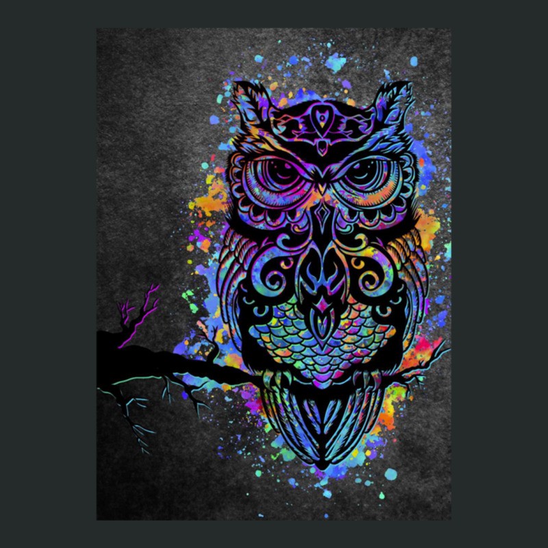 Wet Owl  (1) Women's Triblend Scoop T-shirt by CHRISTOPHERBARRERAS | Artistshot