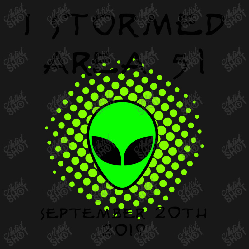 I Stormed Area 51 Flannel Shirt | Artistshot