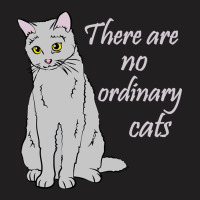 There Are No Ordinary Cats T-shirt | Artistshot