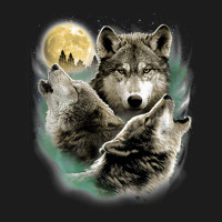 Three Wolves Howling In Moonlight Hoodie & Jogger Set | Artistshot