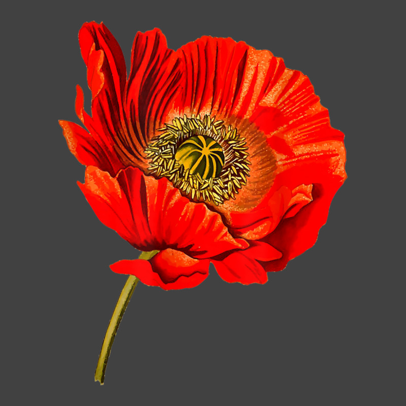 Red Poppy Flower, Red Botanical Poppies, Poppy Vintage T-shirt | Artistshot