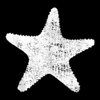 Limited Edition Starfish Marine Biology Pocket T-shirt | Artistshot