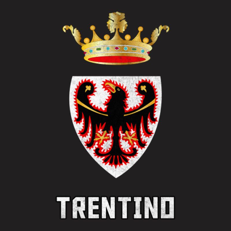 Trentino Italy Region Flag Design T-shirt | Artistshot