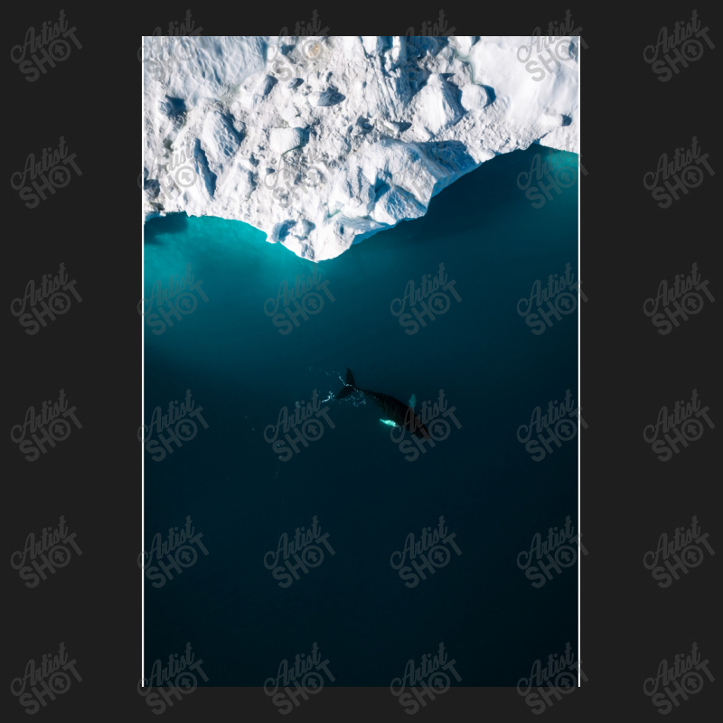 Aerial Of A Lone Humpback Whale In Front Of An Iceberg In Greenland Classic T-shirt | Artistshot