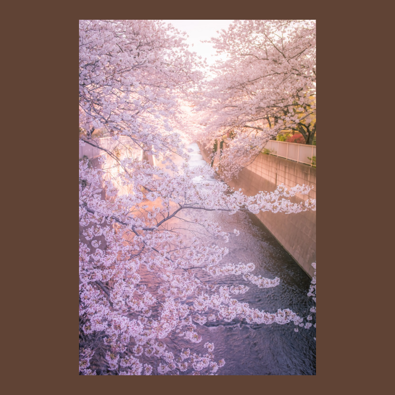 Sakura Tree Over Kanda Gawa River Poster Yellow T-Shirt by vulumagelsyh | Artistshot