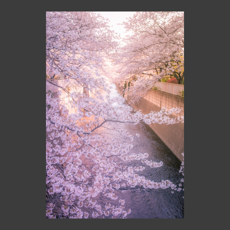 Sakura Tree Over Kanda Gawa River Poster Yellow Men's Polo Shirt by vulumagelsyh | Artistshot