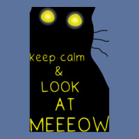 Keep Calm And Look At Meeeow Cat Hypnotic Lightweight Hoodie | Artistshot