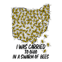 I Was Carried To Ohio In A Swarm Of Bees For Light Men's Long Sleeve Pajama Set | Artistshot