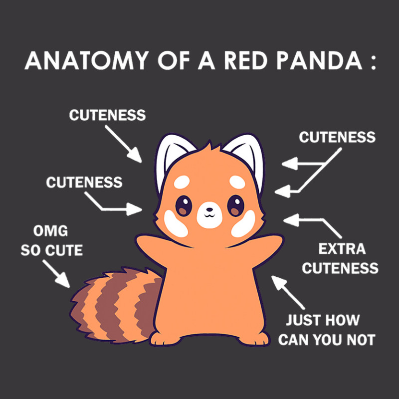 Anatomy Of A Red Panda Science Zoologist Red Panda Anatomy Ladies Curvy T-Shirt by HayleyArtist | Artistshot