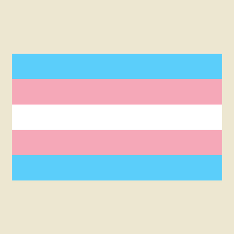 Hot Trend Trans Flag Cropped Hoodie by poppyallen | Artistshot