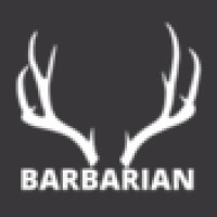 The Barbarian Ladies Curvy T-shirt | Artistshot