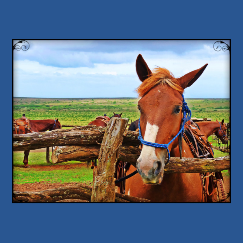 Horses In Maui Hawaii Classic Tshirt Red T-shirt | Artistshot