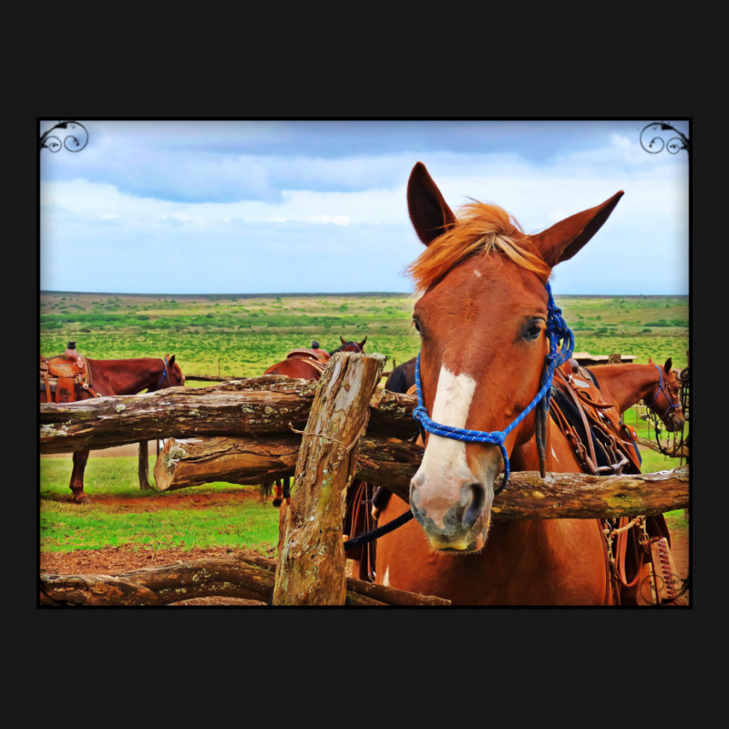 Horses In Maui Hawaii Classic Tshirt Red Flannel Shirt | Artistshot