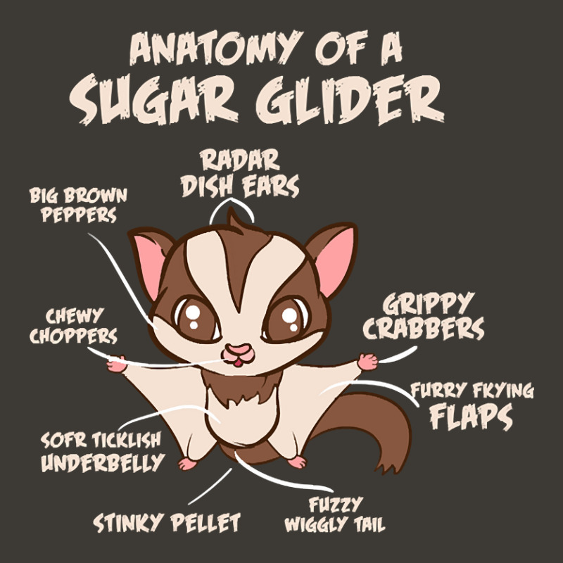 Trending Anatomy Of A Sugar Glider Possum Bucket Hat by Box Bingham | Artistshot