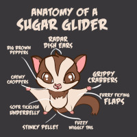 Trending Anatomy Of A Sugar Glider Possum Ladies Curvy T-shirt | Artistshot