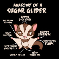 Trending Anatomy Of A Sugar Glider Possum Maternity Scoop Neck T-shirt | Artistshot