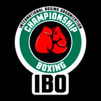 Ibo International Boxing Organization V-neck Tee | Artistshot