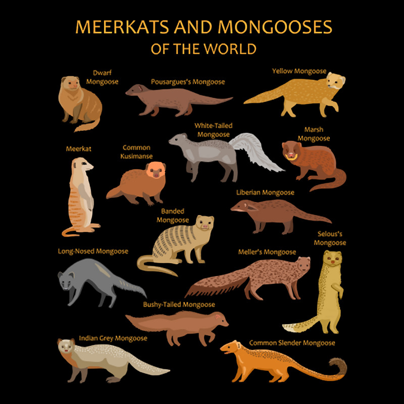 Trending Meerkat And Mongoose Species V-Neck Tee by Ledford Leslie | Artistshot