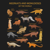 Trending Meerkat And Mongoose Species Classic T-shirt | Artistshot