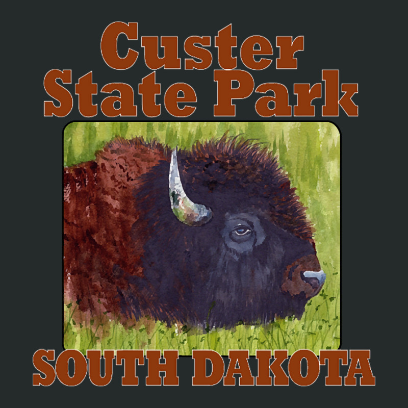 Limited Edition Custer State Park, South Dakota-wcval Women's Triblend Scoop T-shirt by Box Bingham | Artistshot