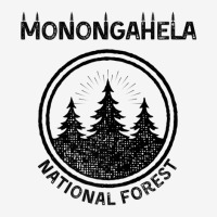 Monongahela National Forest Youth 3/4 Sleeve | Artistshot