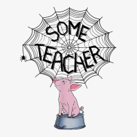 Some Teacher Spider Web Pig Ladies Fitted T-shirt | Artistshot