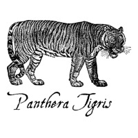 Panthera Tigris Long Sleeve Shirts | Artistshot