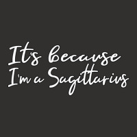 Limited Edition It's Because I'm A Sagittarius Astrology Champion Hoodie | Artistshot