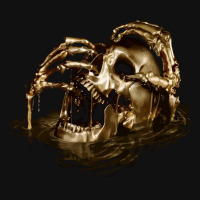 Black Sails Golden Skull Portrait Canvas Print | Artistshot